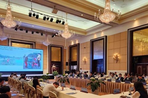 Giúp người dân Huế thay đổi hành vi trong phân loại rác tại nguồn