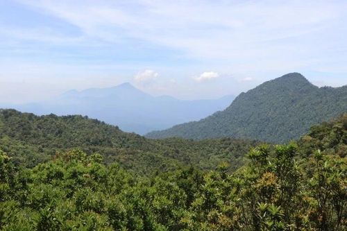 Khám phá kho báu di sản thiên nhiên Vườn Quốc gia Bạch Mã