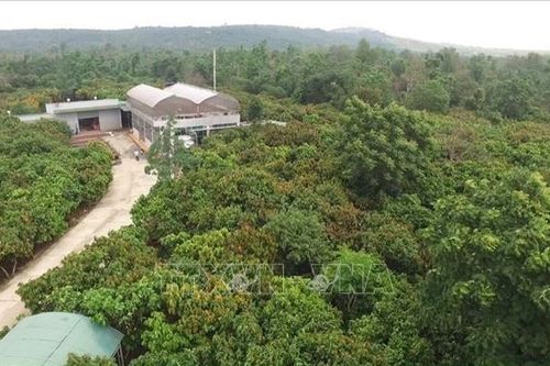 Liên kết hợp tác tạo thế mạnh bền vững