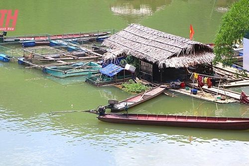 Hội Nông dân huyện Quan Hóa hỗ trợ hội viên phát triển kinh tế