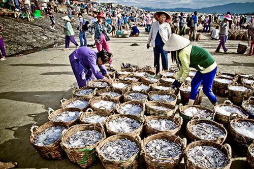 Tài chính bền vững cho đồng quản lý bảo vệ nguồn lợi thủy sản