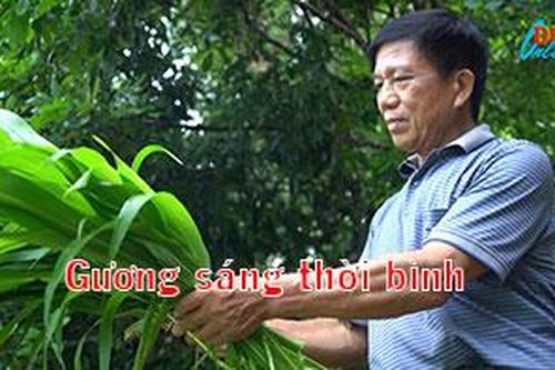 Gương sáng thời bình