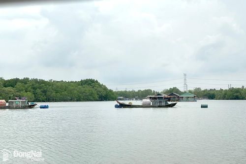 Thú vị làng Phước An