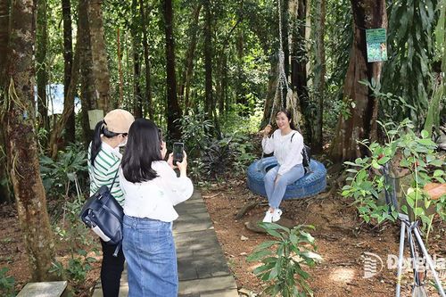 Bảo vệ 'hòn ngọc xanh' của vùng Đông Nam bộ
