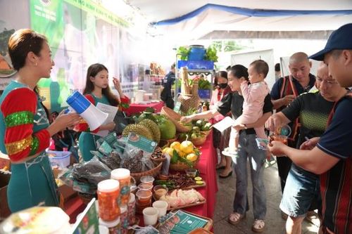 Tổ chức trưng bày, quảng bá sản phẩm khởi nghiệp của thanh niên