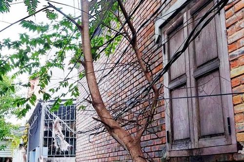 Điện mùa mưa bão: Tuyệt đối không chủ quan