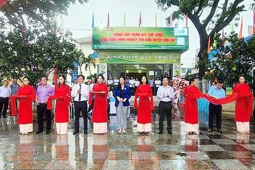 Bình Định: Hoài Ân xây dựng Trung tâm trưng bày, giới thiệu sản phẩm nông nghiệp