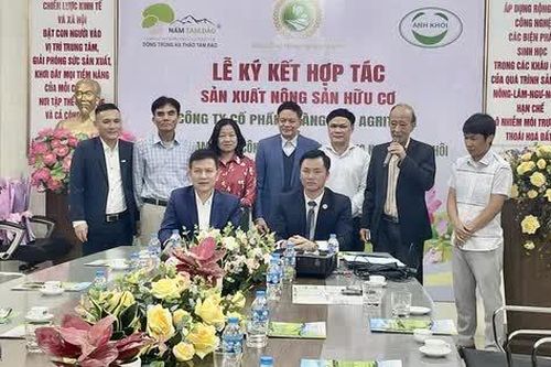 Vĩnh Phúc: HTX nấm Tam Đảo ký kết hợp tác sản xuất nông sản hữu cơ