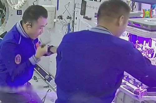 Thu hoạch rau trên 'Khu vườn vũ trụ'