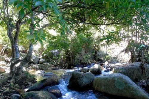 Bật mí những con suối đẹp ở Đà Lạt