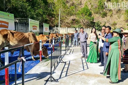 Kon Tum: Thu hơn 5 tỷ đồng tại Chợ phiên vùng biên
