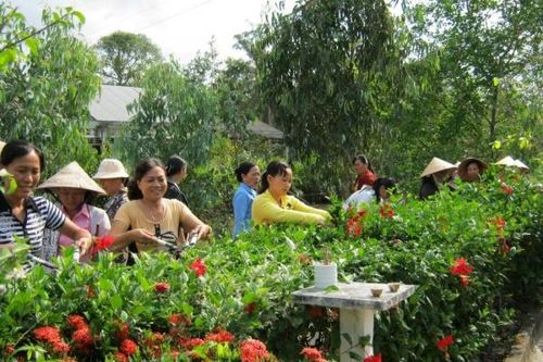 Bạc Liêu ưu tiên phát triển toàn diện vùng đồng bào dân tộc
