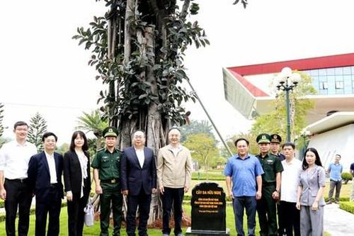 Cây đa Hữu Nghị ở biên giới Việt Nam - Trung Quốc