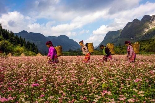 Hà Giang: Đa dạng hóa sản phẩm để phát triển du lịch bền vững