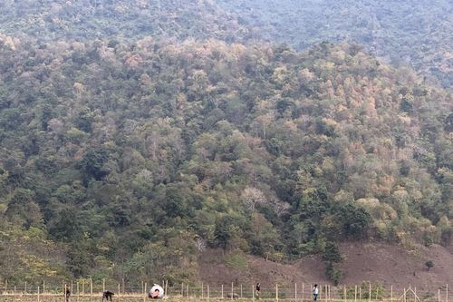 Thanh Hóa đẩy mạnh bảo tồn, ngăn chặn tội phạm đa dạng sinh học