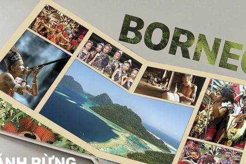Borneo, rừng Amazon của châu Á