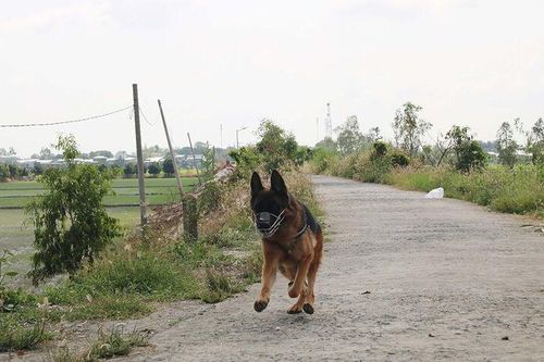 Sin Li ở chốt Cây Gáo