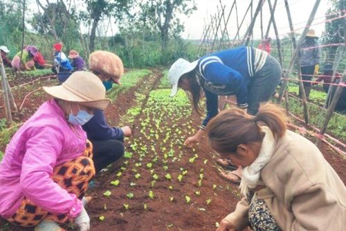 Đak Đoa quan tâm đào tạo nghề cho lao động nông thôn