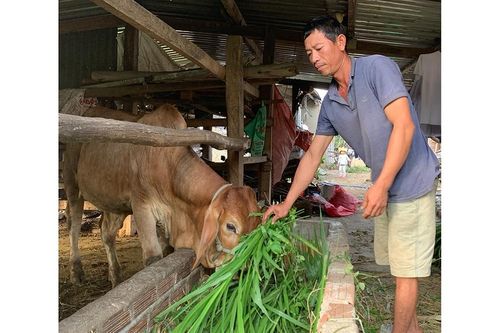 'Vững bước trên con đường hoàn lương'