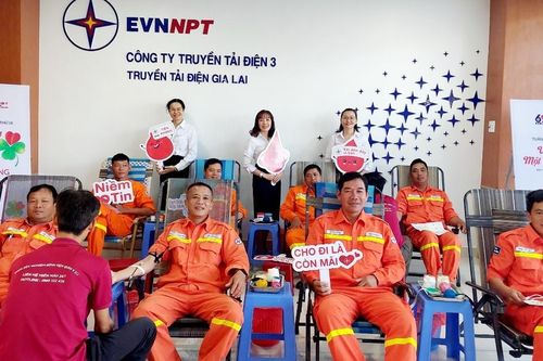 Ngành điện Gia Lai đồng loạt tổ chức hưởng ứng 'Tuần lễ hồng EVN' năm 2023