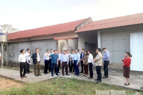 Thành phố Hồ Chí Minh hỗ trợ huyện Sơn Dương xây dựng nông thôn mới