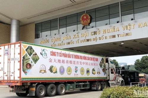 Cửa khẩu số - Thúc đẩy xuất nhập khẩu qua cửa khẩu