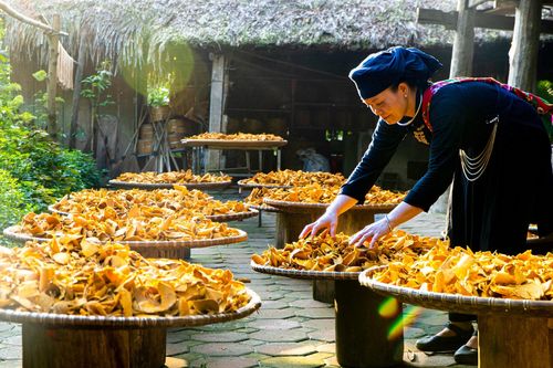 Về làng Thái Hải tìm bản sắc văn hóa Tày