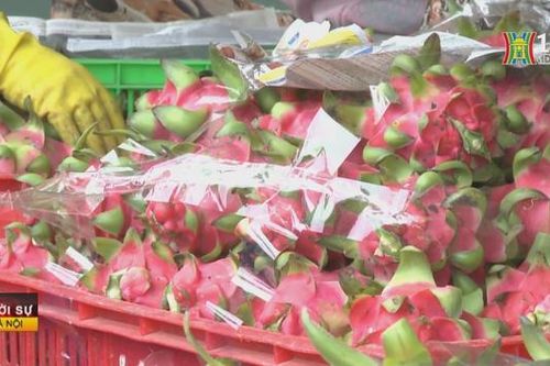 Thúc đẩy thương mại Việt Nam - Nhật Bản