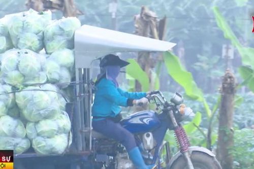 Nông nghiệp hữu cơ, cơ hội của nông dân hiện đại