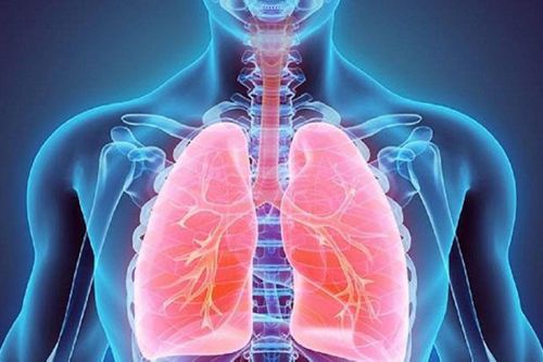 Những loại thực phẩm tốt cho phổi bạn nên biết