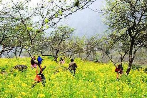 Phát triển du lịch 4 mùa ở Nghệ An