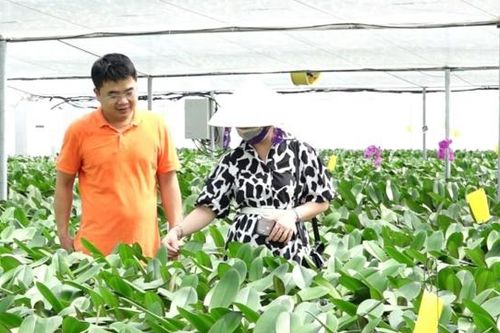 Nông nghiệp, nông thôn Hà Nội đổi thay toàn diện