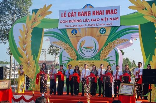 Khai mạc triển lãm Con đường lúa gạo Việt Nam