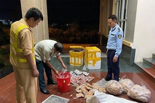 Thành phố hội nhập và phát triển: Hoàn thiện quy trình truy xuất nguồn gốc thực phẩm