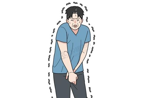 Người hay đi tiểu sau khi uống nước, người lâu mới đi vệ sinh, ai khỏe mạnh hơn?