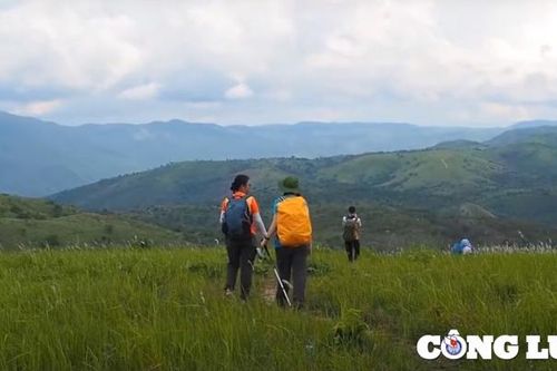 Thảo nguyên Pal sol (Đắk Lắk), điểm đến hấp dẫn với người đam mê trekking