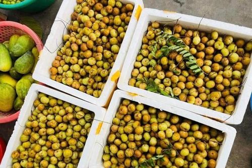 Loại quả dại từ rừng núi xuống phố gây sốt 'chợ mạng'