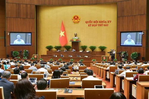 Sử dụng kết quả rà soát văn bản quy phạm pháp luật cho xây dựng, hoàn thiện hệ thống pháp luật
