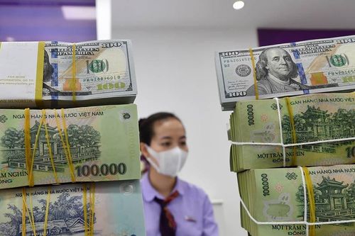 Bản tin kinh tế 11/12: Thu ngân sách 1,5 triệu tỷ, hàng không tăng chuyến Tết