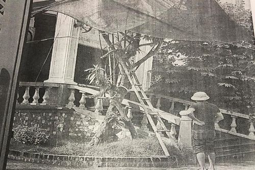 Đăng bài xúc phạm người bán cây giống, bị phạt 7,5 triệu đồng