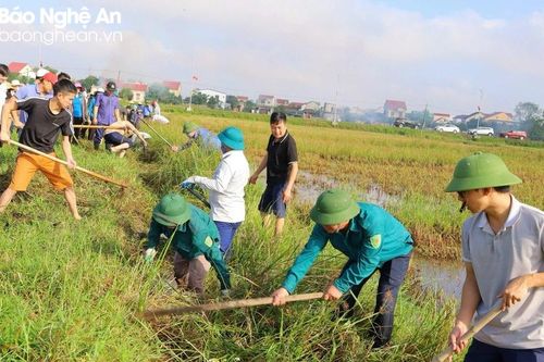 Trên 456.000 ngày công làm thủy lợi, đảm bảo nước tưới vụ xuân