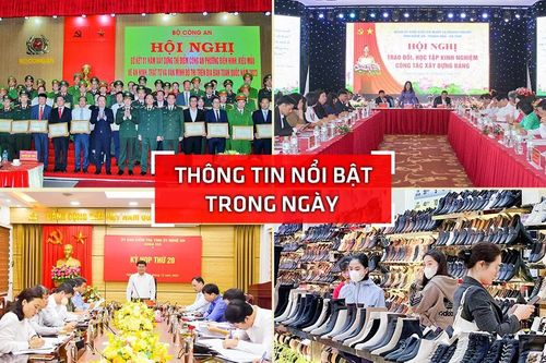 Nghệ An: Thông tin nổi bật ngày 11/12