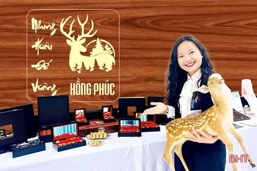 Biến đặc sản nhung hươu của Hà Tĩnh thành 'thần dược'