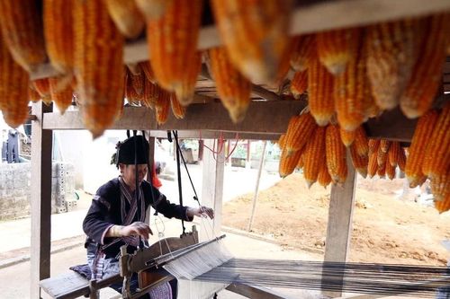 Sắc màu đổi thay trên các bản làng của người dân tộc Lự