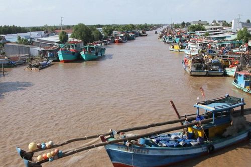 Đưa Bạc Liêu thành trung tâm sản xuất và xuất khẩu năng lượng tái tạo