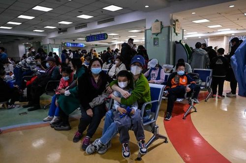Tìm hiểu về Mycoplasma, vi khuẩn gây gia tăng các ca viêm phổi