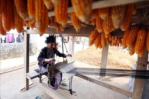 Cuộc sống đổi thay của đồng bào dân tộc Lự ở Lai Châu