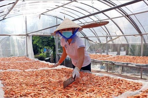 Nghề làm tôm khô Cà Mau là Di sản Văn hóa phi vật thể quốc gia