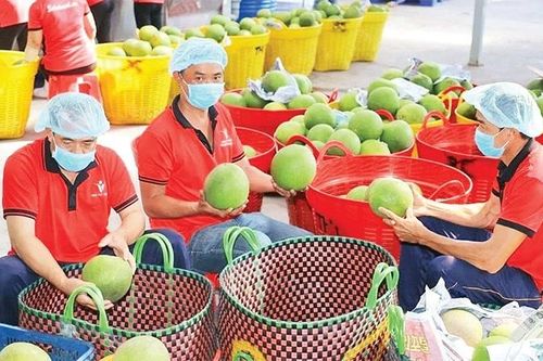 Đã đến lúc tính đến mô hình tăng trưởng không chỉ dựa vào vốn