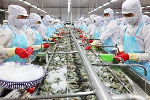 Xuất khẩu tuần 4-10/12: Xuất khẩu tôm dự kiến đạt 3,4 tỷ USD,xuất khẩu cà phê đạt 5 tỷ USD năm 2024